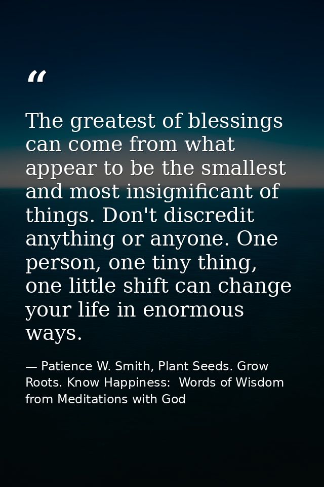 The greatest of blessings can come from what appear to be the smallest and most insignificant of things. Don't discredit — Patience W. Smith, Plant Seeds. Grow Roots. Know Happiness:  Words of Wisdom from Meditations with God