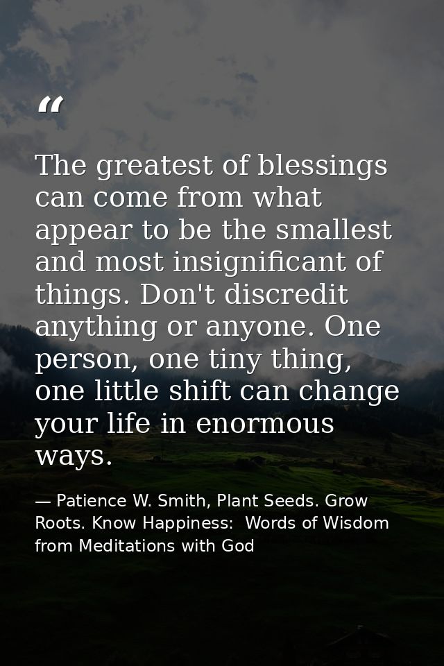 The greatest of blessings can come from what appear to be the smallest and most insignificant of things. Don't discredit — Patience W. Smith, Plant Seeds. Grow Roots. Know Happiness:  Words of Wisdom from Meditations with God
