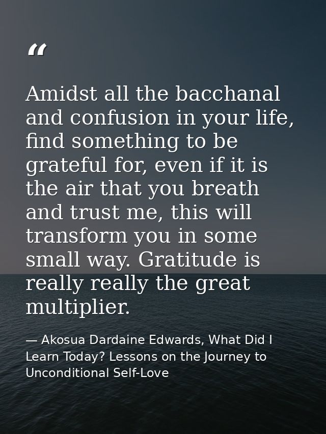 Amidst all the bacchanal and confusion in your life, find something to be grateful for, even if it is the air that you b — Akosua Dardaine Edwards, What Did I Learn Today? Lessons on the Journey to Unconditional Self-Love