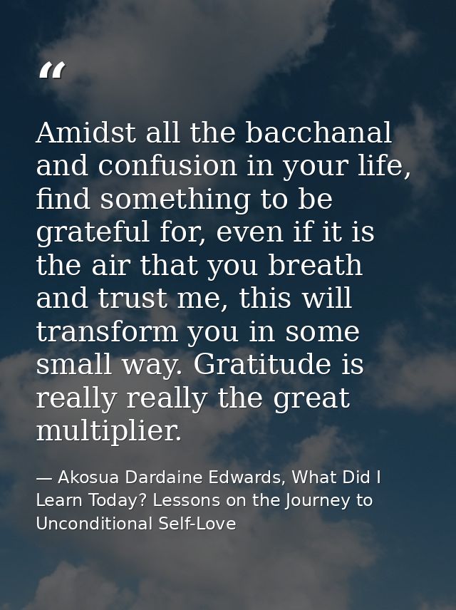 Amidst all the bacchanal and confusion in your life, find something to be grateful for, even if it is the air that you b — Akosua Dardaine Edwards, What Did I Learn Today? Lessons on the Journey to Unconditional Self-Love