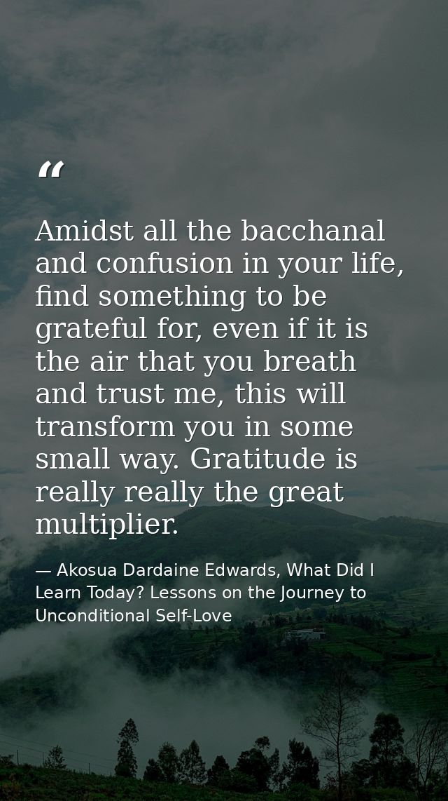 Amidst all the bacchanal and confusion in your life, find something to be grateful for, even if it is the air that you b — Akosua Dardaine Edwards, What Did I Learn Today? Lessons on the Journey to Unconditional Self-Love