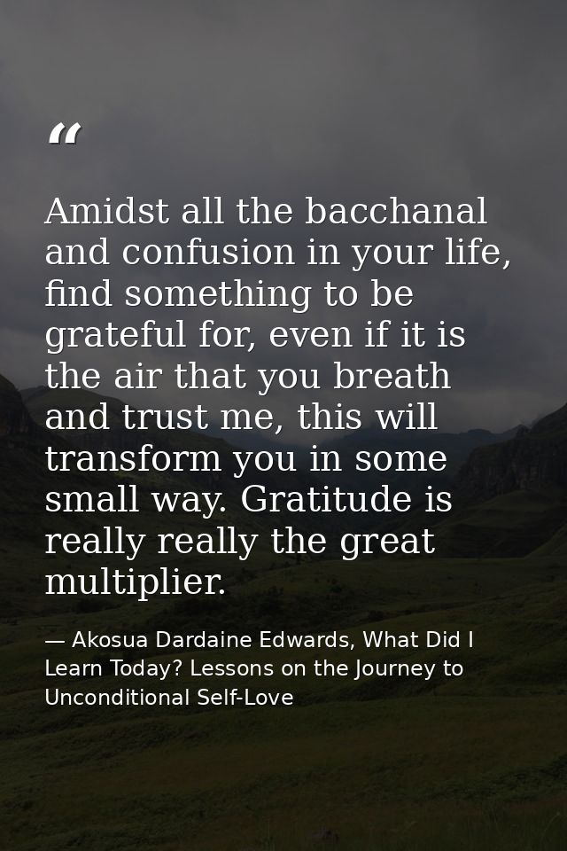 Amidst all the bacchanal and confusion in your life, find something to be grateful for, even if it is the air that you b — Akosua Dardaine Edwards, What Did I Learn Today? Lessons on the Journey to Unconditional Self-Love