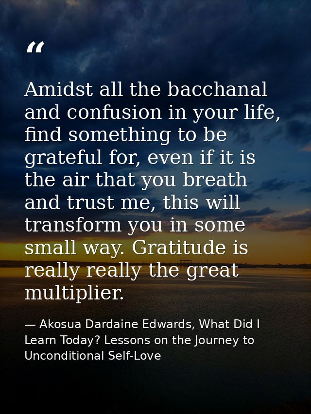 Amidst all the bacchanal and confusion in your life, find something to be grateful for, even if it is the air that you b — Akosua Dardaine Edwards, What Did I Learn Today? Lessons on the Journey to Unconditional Self-Love