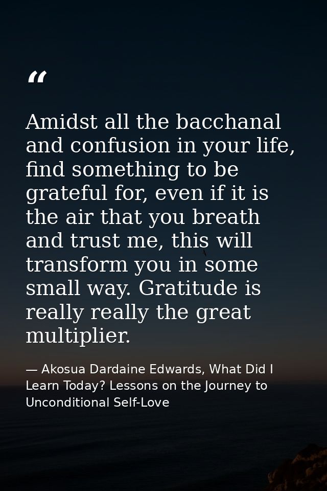 Amidst all the bacchanal and confusion in your life, find something to be grateful for, even if it is the air that you b — Akosua Dardaine Edwards, What Did I Learn Today? Lessons on the Journey to Unconditional Self-Love