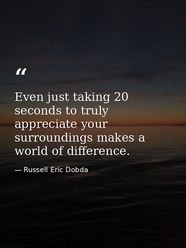 Even just taking 20 seconds to truly appreciate your surroundings makes a world of difference. — Russell Eric Dobda