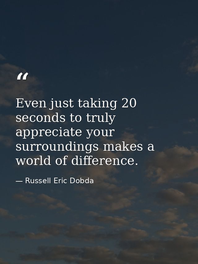 Even just taking 20 seconds to truly appreciate your surroundings makes a world of difference. — Russell Eric Dobda