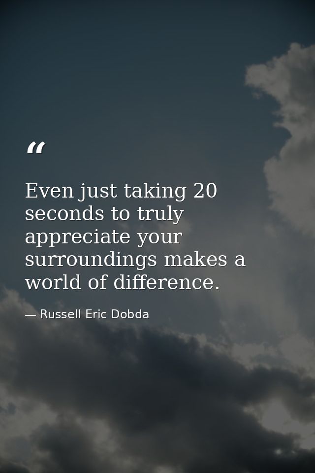 Even just taking 20 seconds to truly appreciate your surroundings makes a world of difference. — Russell Eric Dobda