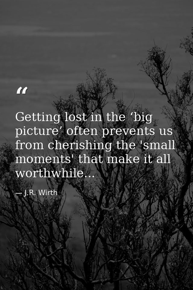 Getting lost in the ‘big picture’ often prevents us from cherishing the 'small moments' that make it all worthwhile... — J.R. Wirth