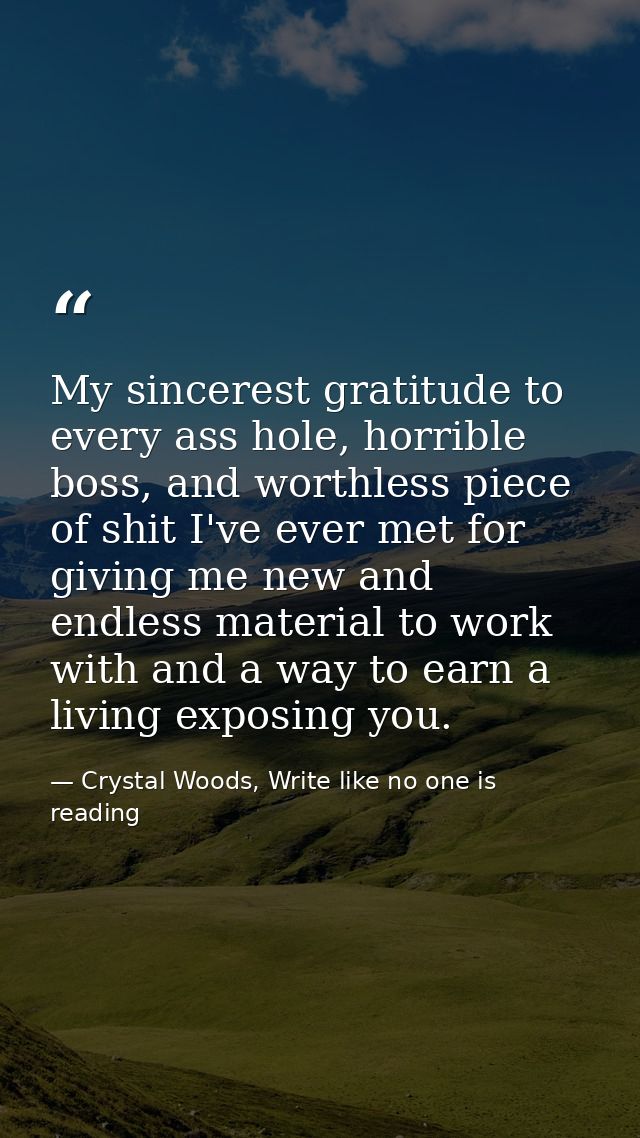 My sincerest gratitude to every ass hole, horrible boss, and worthless piece of shit I've ever met for giving me new and — Crystal Woods, Write like no one is reading