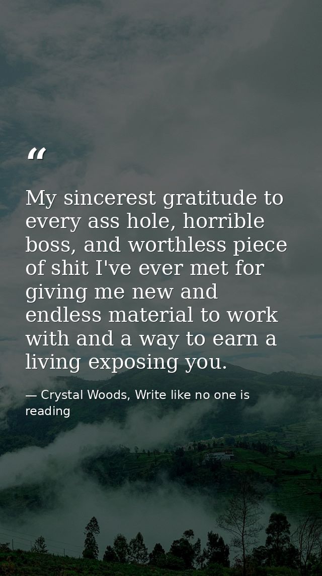My sincerest gratitude to every ass hole, horrible boss, and worthless piece of shit I've ever met for giving me new and — Crystal Woods, Write like no one is reading