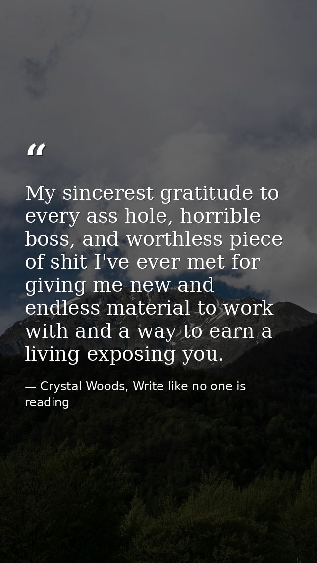 My sincerest gratitude to every ass hole, horrible boss, and worthless piece of shit I've ever met for giving me new and — Crystal Woods, Write like no one is reading