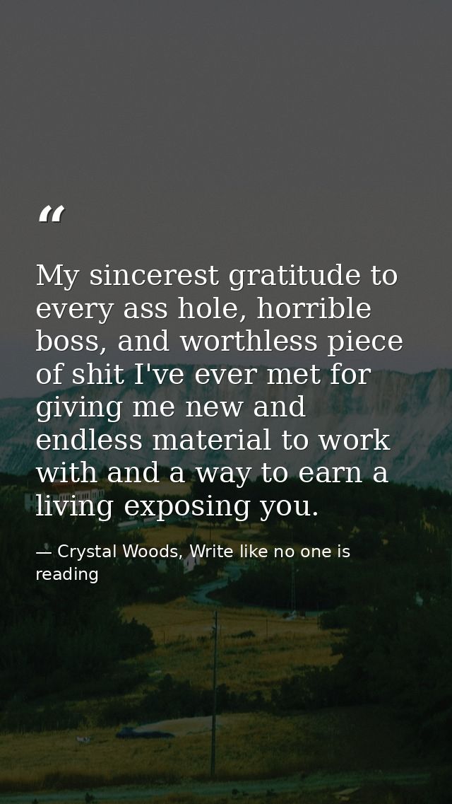 My sincerest gratitude to every ass hole, horrible boss, and worthless piece of shit I've ever met for giving me new and — Crystal Woods, Write like no one is reading