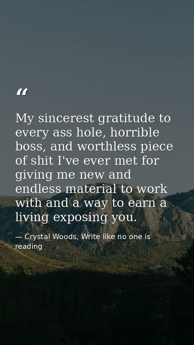 My sincerest gratitude to every ass hole, horrible boss, and worthless piece of shit I've ever met for giving me new and — Crystal Woods, Write like no one is reading