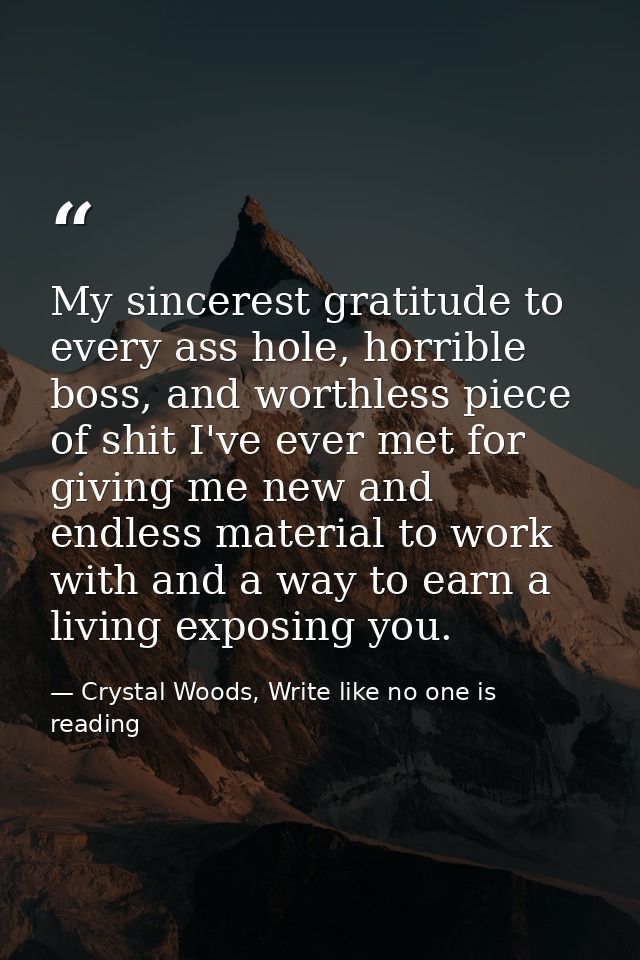 My sincerest gratitude to every ass hole, horrible boss, and worthless piece of shit I've ever met for giving me new and — Crystal Woods, Write like no one is reading