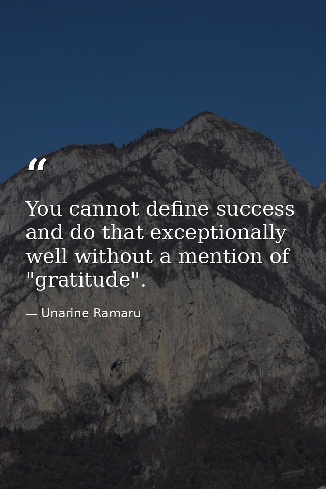 You cannot define success and do that exceptionally well without a mention of "gratitude". — Unarine Ramaru