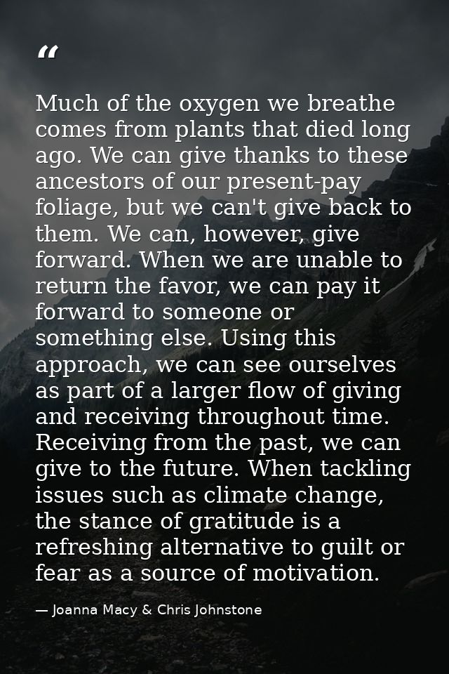 Much of the oxygen we breathe comes from plants that died long ago. We can give thanks to these ancestors of our present — Joanna Macy & Chris Johnstone