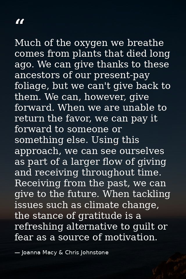 Much of the oxygen we breathe comes from plants that died long ago. We can give thanks to these ancestors of our present — Joanna Macy & Chris Johnstone