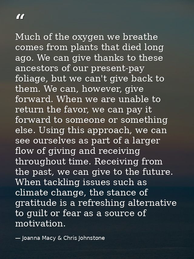 Much of the oxygen we breathe comes from plants that died long ago. We can give thanks to these ancestors of our present — Joanna Macy & Chris Johnstone