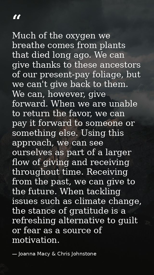 Much of the oxygen we breathe comes from plants that died long ago. We can give thanks to these ancestors of our present — Joanna Macy & Chris Johnstone