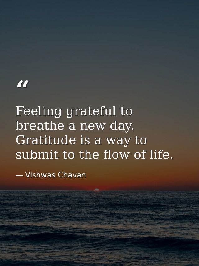 Feeling grateful to breathe a new day. Gratitude is a way to submit to the flow of life. — Vishwas Chavan