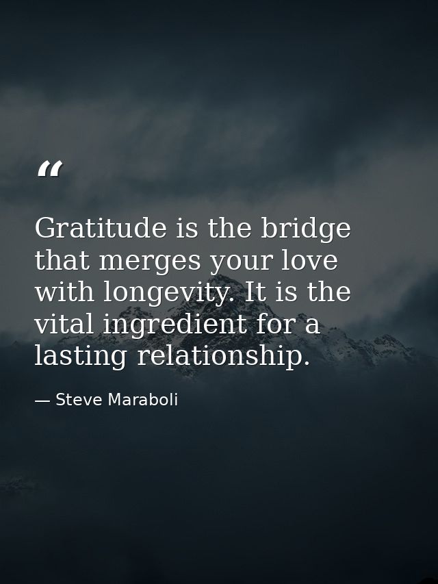 Gratitude is the bridge that merges your love with longevity. It is the vital ingredient for a lasting relationship. — Steve Maraboli