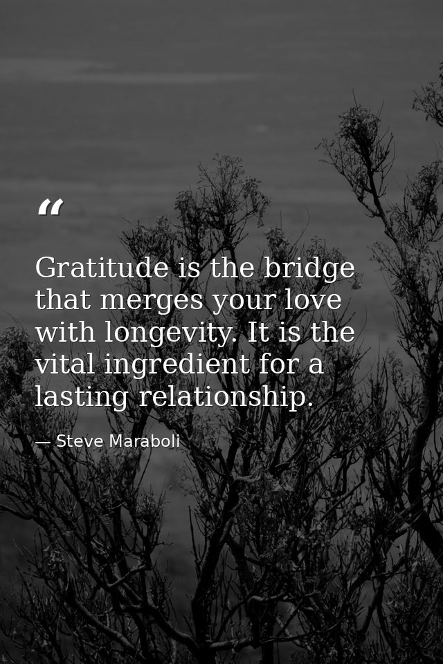 Gratitude is the bridge that merges your love with longevity. It is the vital ingredient for a lasting relationship. — Steve Maraboli