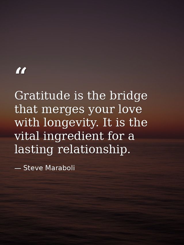 Gratitude is the bridge that merges your love with longevity. It is the vital ingredient for a lasting relationship. — Steve Maraboli