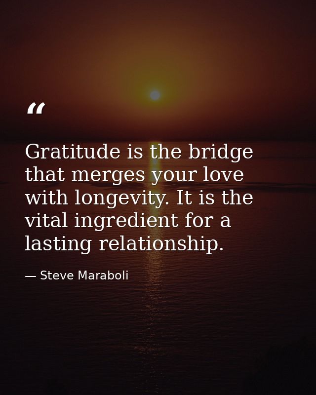 Gratitude is the bridge that merges your love with longevity. It is the vital ingredient for a lasting relationship. — Steve Maraboli