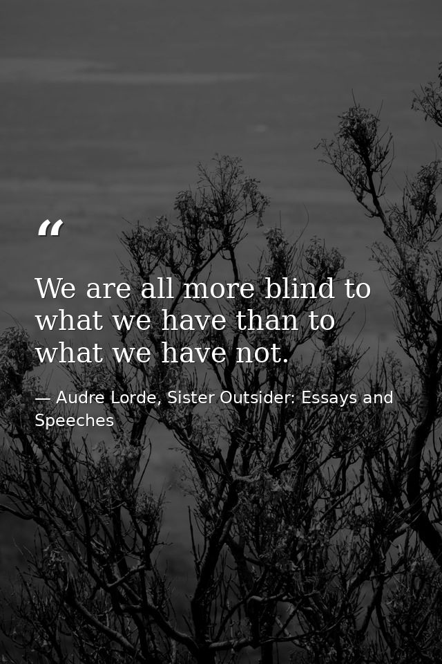 We are all more blind to what we have than to what we have not. — Audre Lorde, Sister Outsider: Essays and Speeches