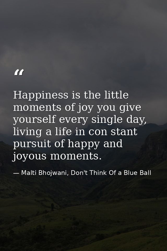 Happiness is the little moments of joy you give yourself every single day, living a life in con stant pursuit of happy a — Malti Bhojwani, Don't Think Of a Blue Ball