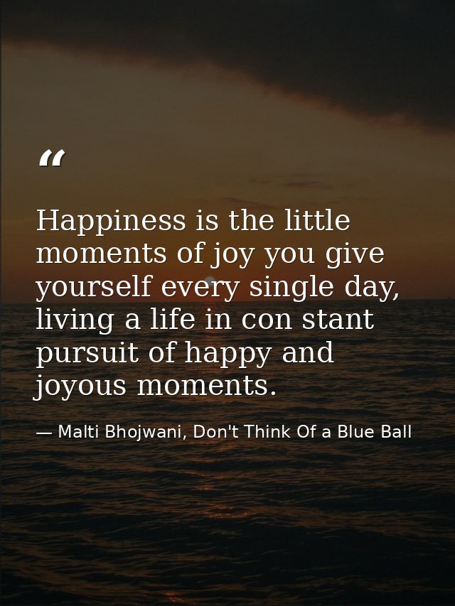 Happiness is the little moments of joy you give yourself every single day, living a life in con stant pursuit of happy a — Malti Bhojwani, Don't Think Of a Blue Ball