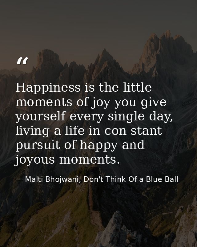 Happiness is the little moments of joy you give yourself every single day, living a life in con stant pursuit of happy a — Malti Bhojwani, Don't Think Of a Blue Ball