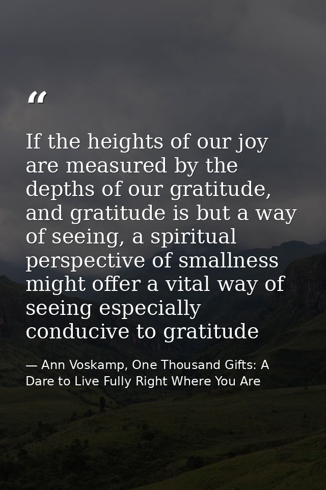 If the heights of our joy are measured by the depths of our gratitude, and gratitude is but a way of seeing, a spiritual — Ann Voskamp, One Thousand Gifts: A Dare to Live Fully Right Where You Are