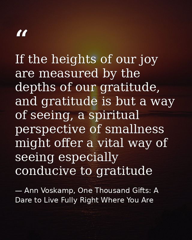 If the heights of our joy are measured by the depths of our gratitude, and gratitude is but a way of seeing, a spiritual — Ann Voskamp, One Thousand Gifts: A Dare to Live Fully Right Where You Are