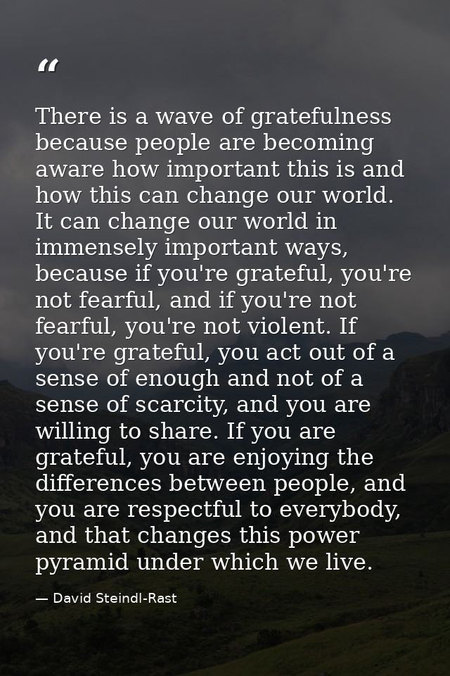 There is a wave of gratefulness because people are becoming aware how important this is and how this can change our worl — David Steindl-Rast