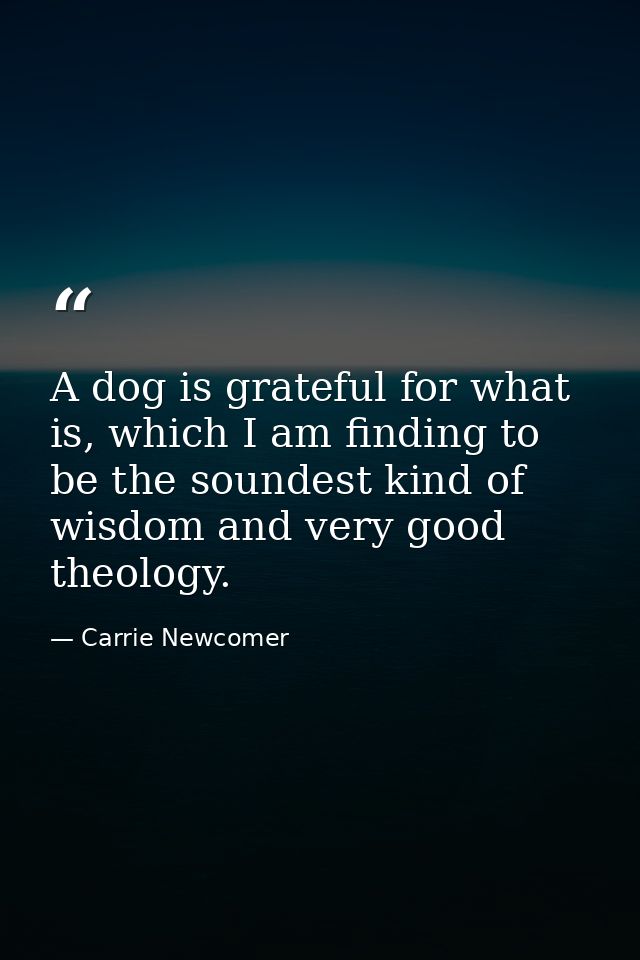 A dog is grateful for what is, which I am finding to be the soundest kind of wisdom and very good theology. — Carrie Newcomer