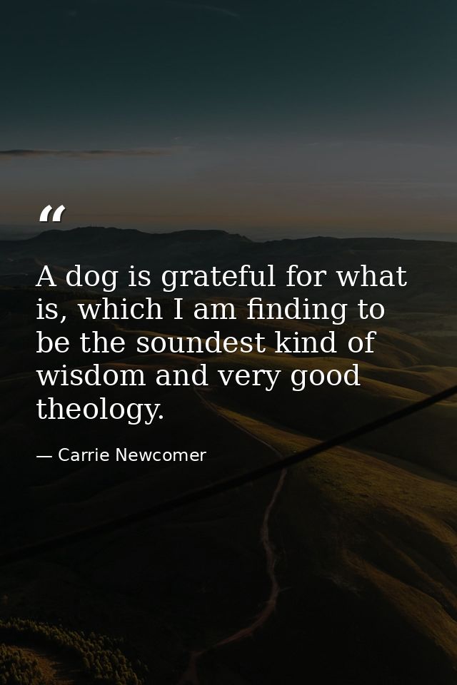 A dog is grateful for what is, which I am finding to be the soundest kind of wisdom and very good theology. — Carrie Newcomer