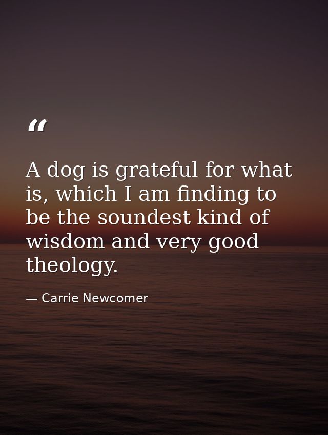 A dog is grateful for what is, which I am finding to be the soundest kind of wisdom and very good theology. — Carrie Newcomer