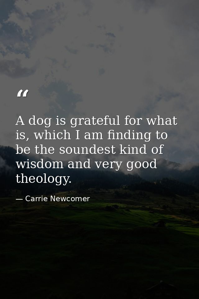 A dog is grateful for what is, which I am finding to be the soundest kind of wisdom and very good theology. — Carrie Newcomer
