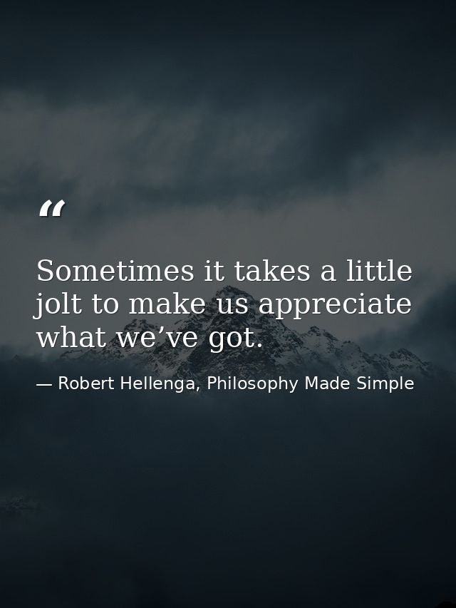 Sometimes it takes a little jolt to make us appreciate what we’ve got. — Robert Hellenga, Philosophy Made Simple