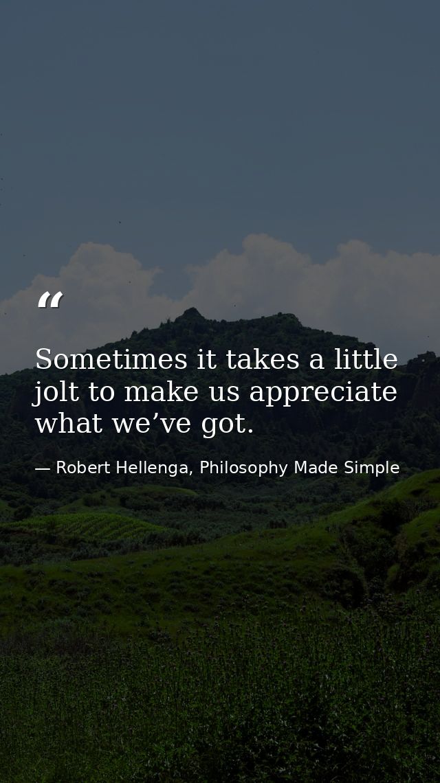Sometimes it takes a little jolt to make us appreciate what we’ve got. — Robert Hellenga, Philosophy Made Simple