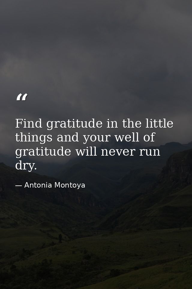 Find gratitude in the little things and your well of gratitude will never run dry. — Antonia Montoya
