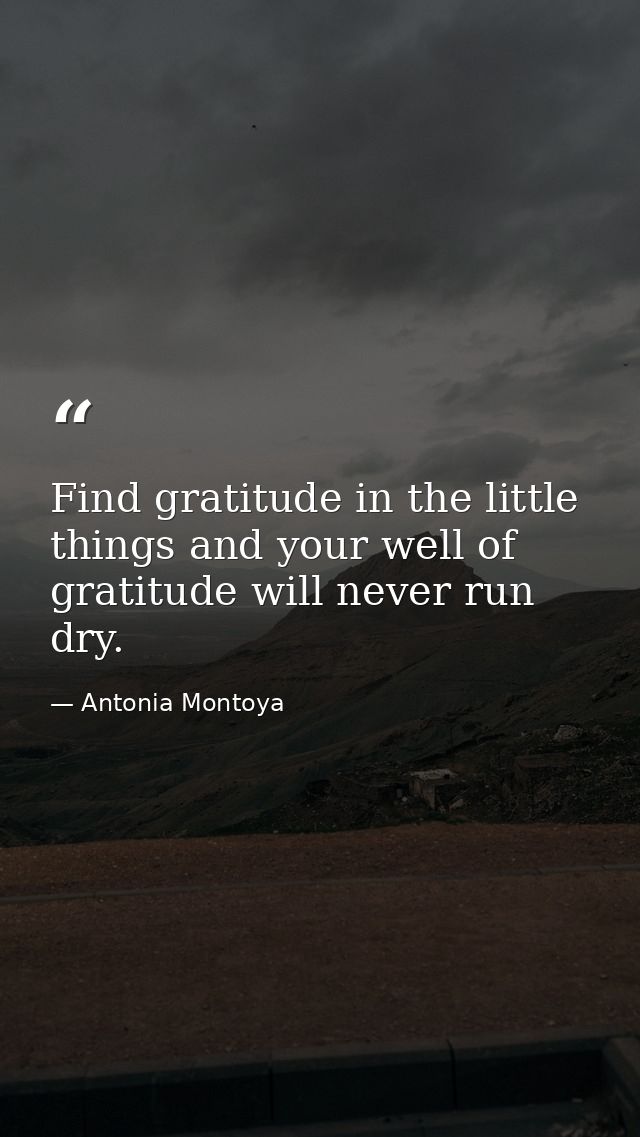 Find gratitude in the little things and your well of gratitude will never run dry. — Antonia Montoya