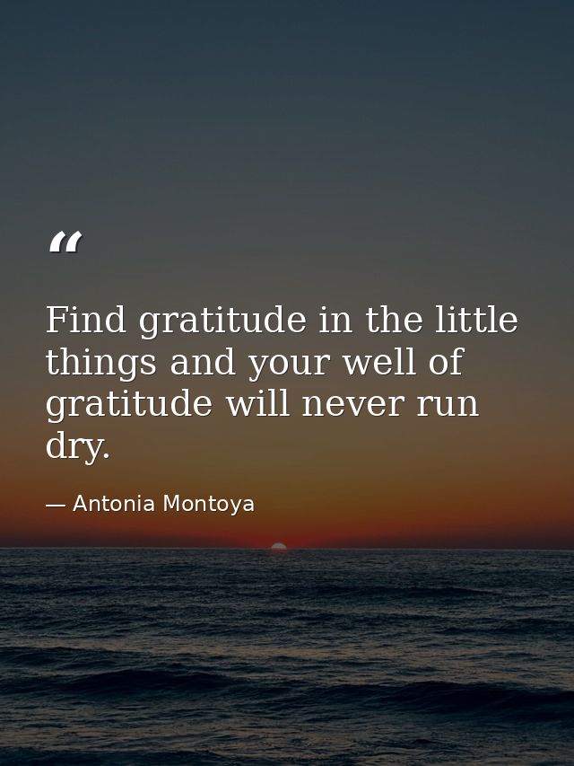 Find gratitude in the little things and your well of gratitude will never run dry. — Antonia Montoya