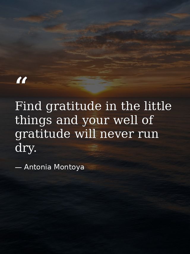 Find gratitude in the little things and your well of gratitude will never run dry. — Antonia Montoya