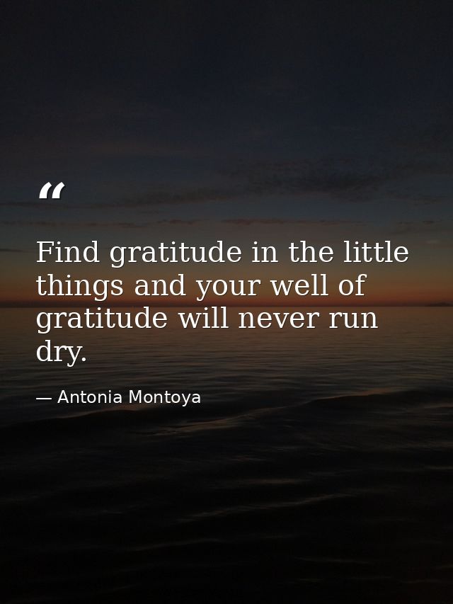 Find gratitude in the little things and your well of gratitude will never run dry. — Antonia Montoya