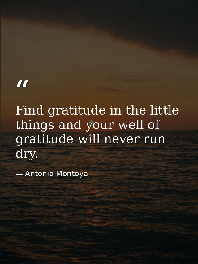 Find gratitude in the little things and your well of gratitude will never run dry. — Antonia Montoya
