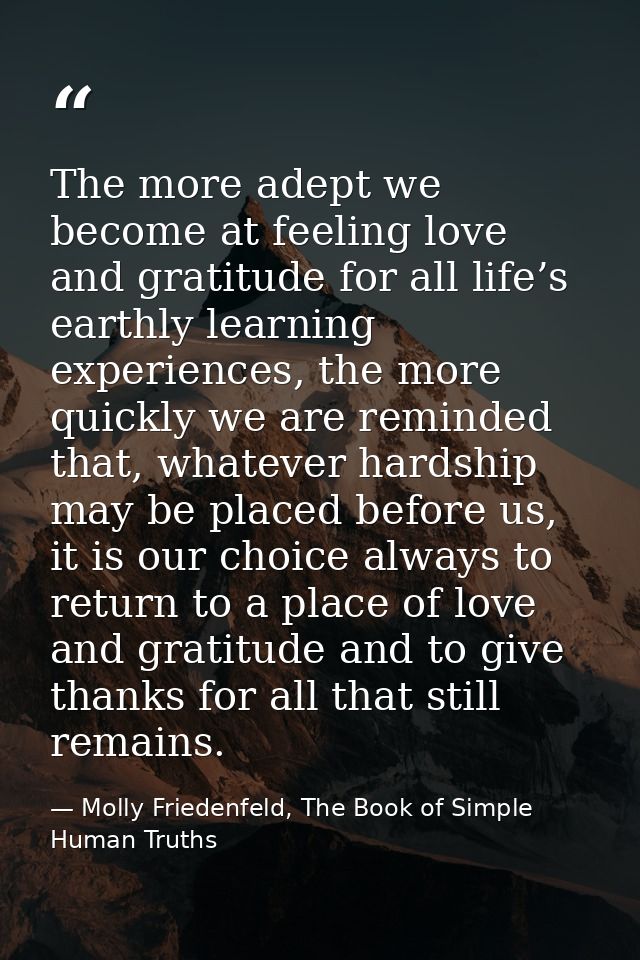 The more adept we become at feeling love and gratitude for all life’s earthly learning experiences, the more quickly we  — Molly Friedenfeld, The Book of Simple Human Truths