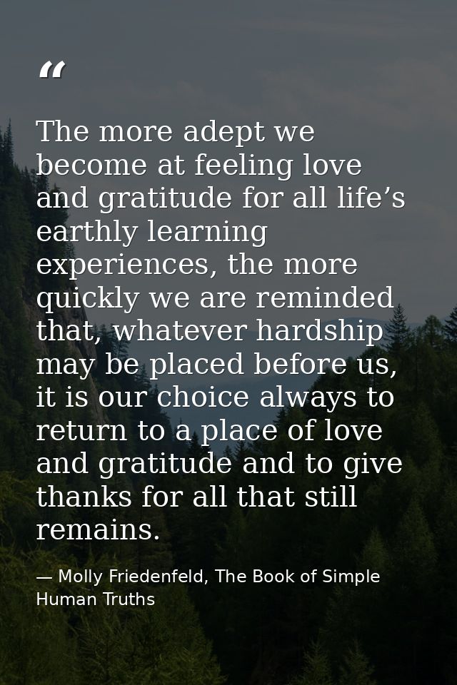 The more adept we become at feeling love and gratitude for all life’s earthly learning experiences, the more quickly we  — Molly Friedenfeld, The Book of Simple Human Truths