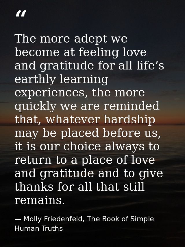 The more adept we become at feeling love and gratitude for all life’s earthly learning experiences, the more quickly we  — Molly Friedenfeld, The Book of Simple Human Truths